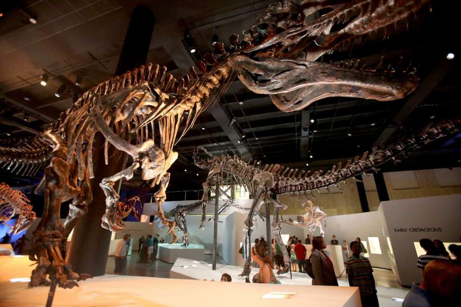 trex